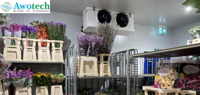 Cold  storage For Floriculture